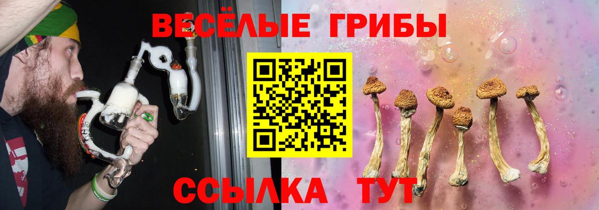 Галлюциногенные грибы ЛСД Клинцы