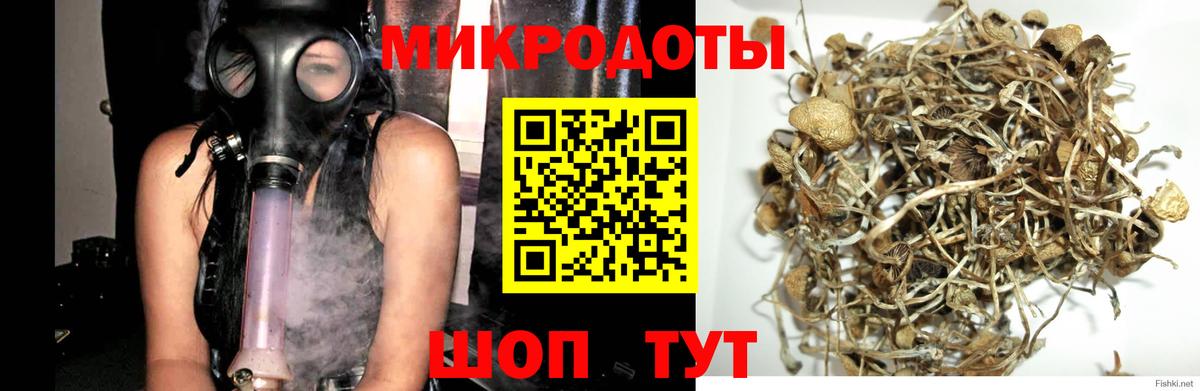 даркнет сайт  Галлюциногенные грибы Psilocybe  Вход с VPN  Клинцы 